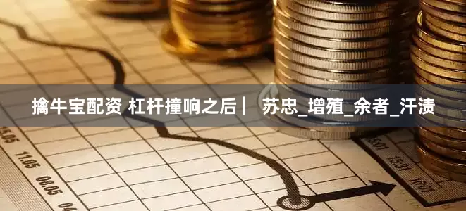 擒牛宝配资 杠杆撞响之后 ▏苏忠_增殖_余者_汗渍