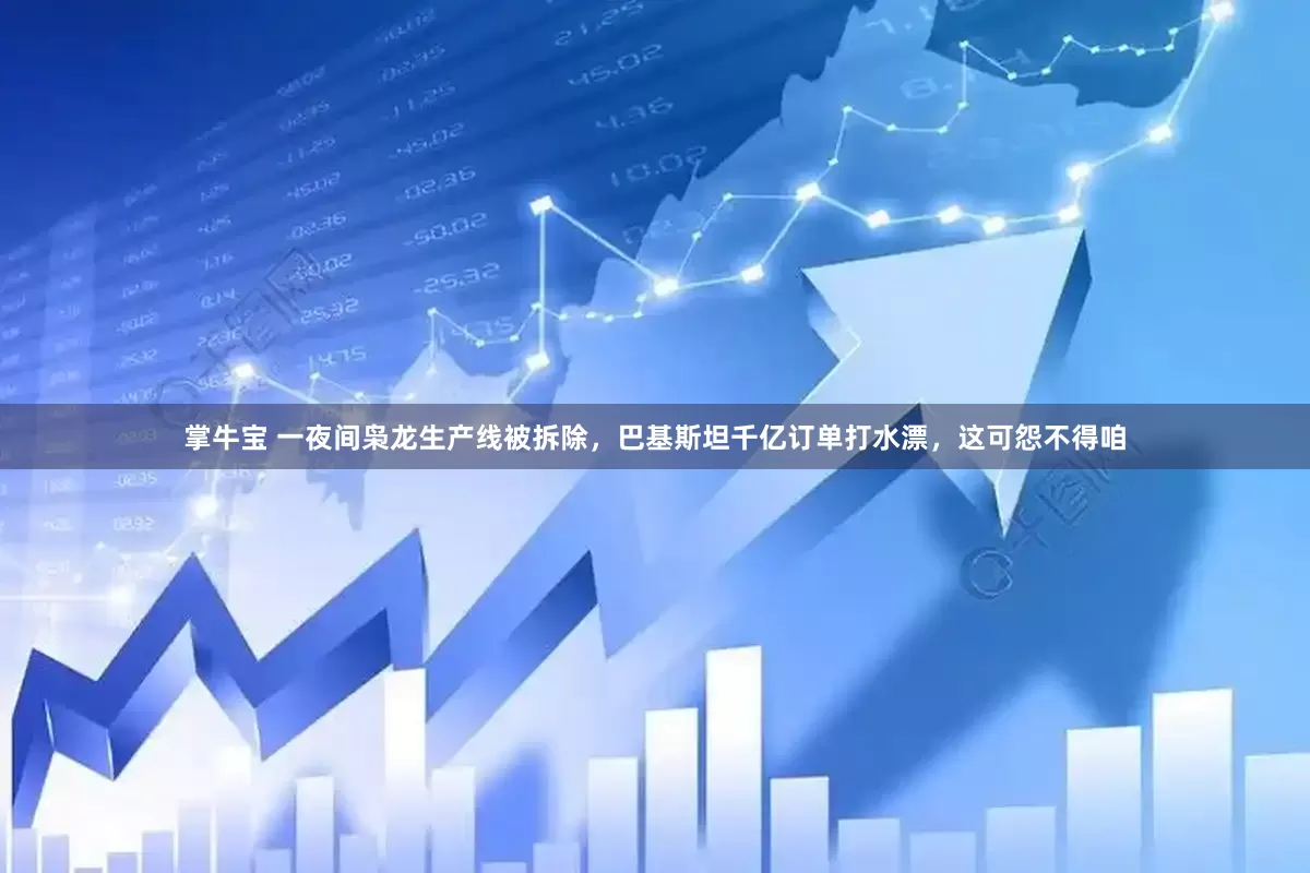 掌牛宝 一夜间枭龙生产线被拆除，巴基斯坦千亿订单打水漂，这可怨不得咱