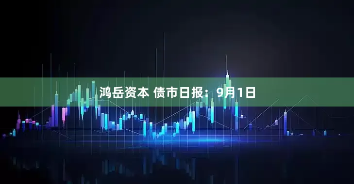 鸿岳资本 债市日报：9月1日