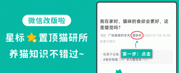 赢金配资 神奇的尾巴会说话！一文读懂猫尾巴表达的12种含义